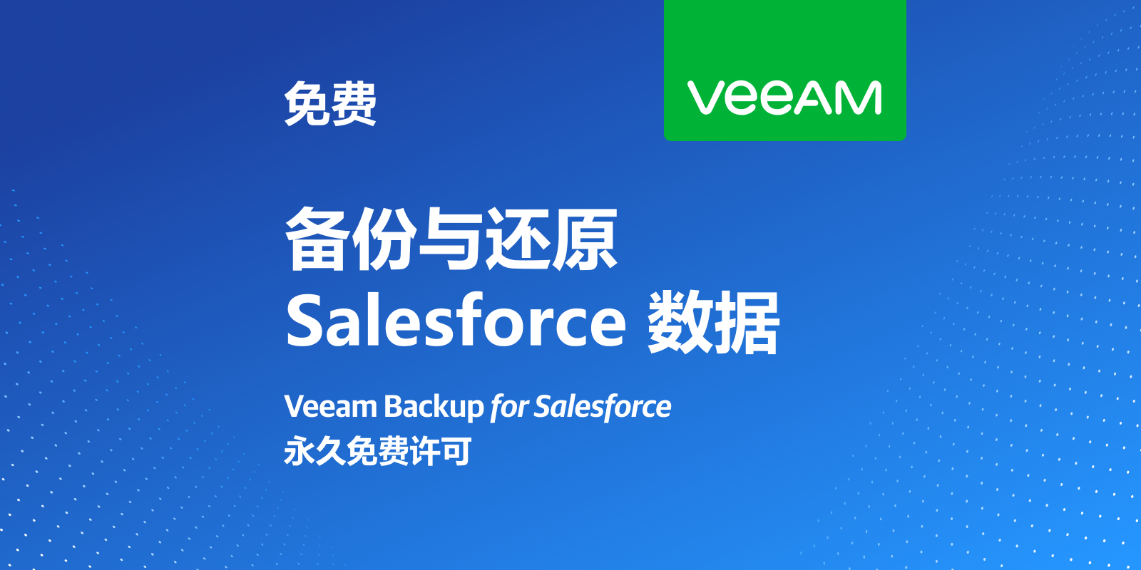 salesforce-veeam